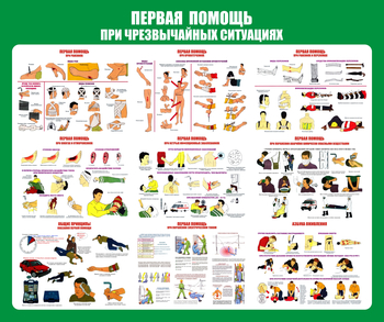 С20-1 Стенд Оказание первой помощи при ЧС (670х800 мм, пластик ПВХ 3 мм, алюминиевый багет золотого цвета) - Стенды - Стенды по первой медицинской помощи - Магазин охраны труда Протекторшоп